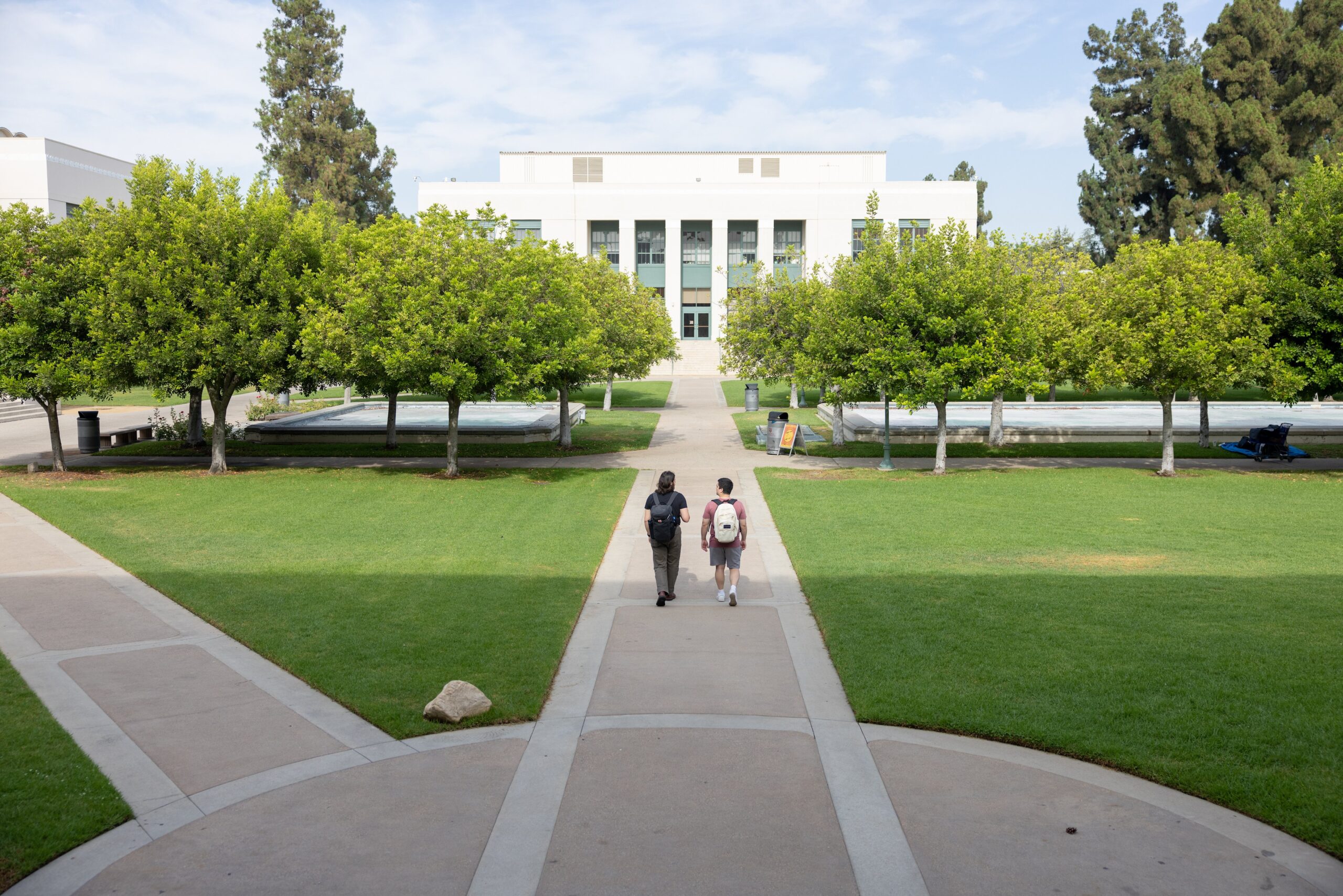 Two male students walk on a pathway through a quad on a college campus.